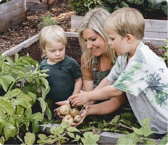 gardening projects