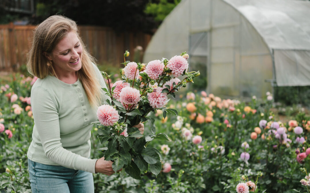 Why Our Garden Blend is Your Garden’s Best Friend